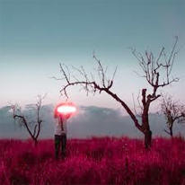 Xavi Lloses. Els Benaurats